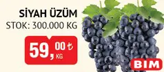 SİYAH ÜZÜM KG SİYAH ÜZÜM KG